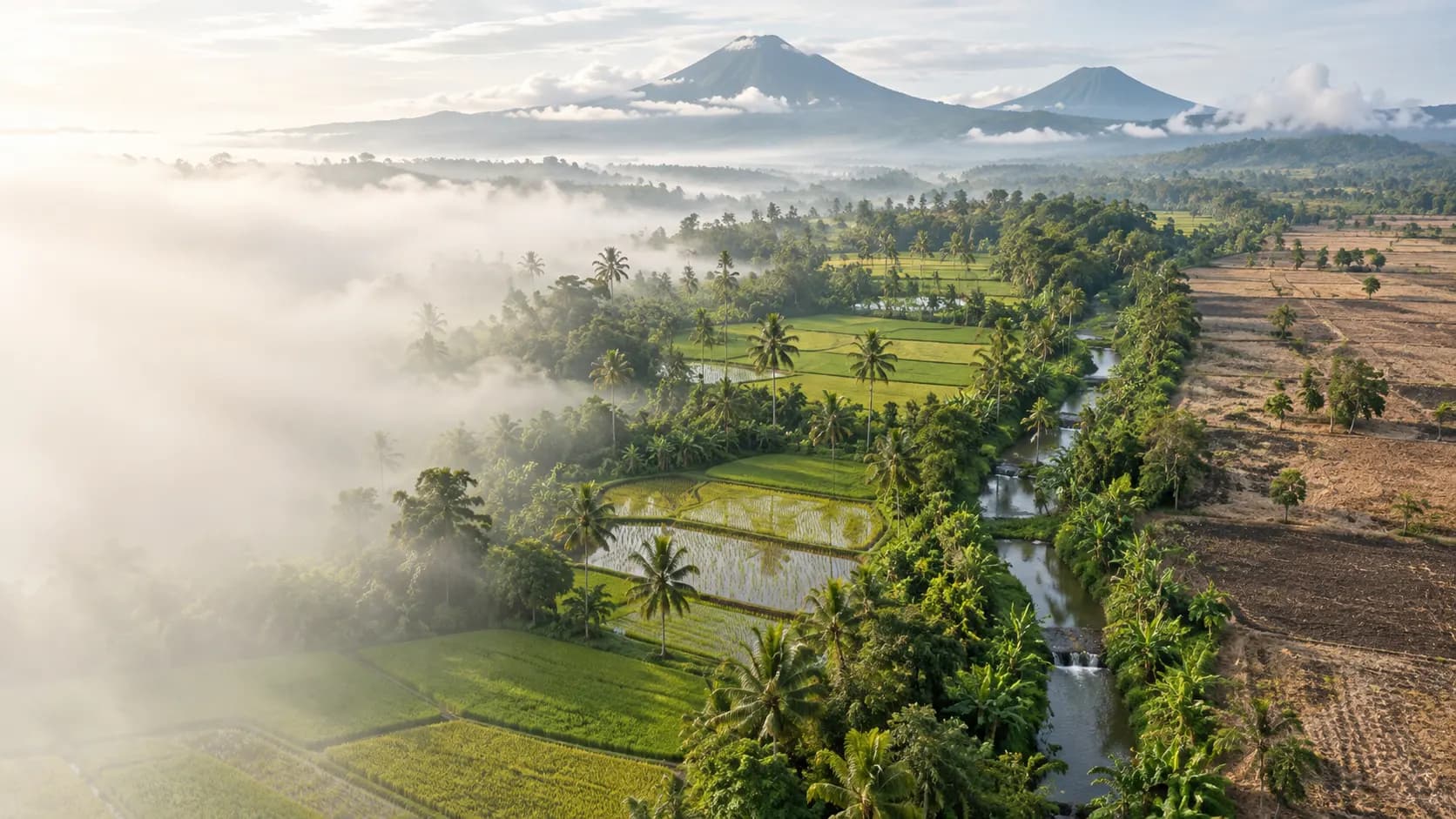 Ilustrasi lahan terbuka dan kebun di sisi aliran sungai